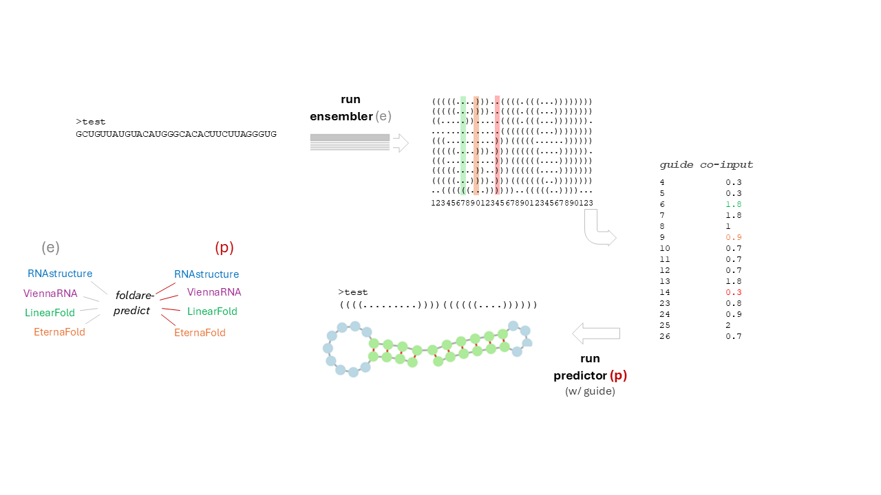 FoldARE two-step prediction workflow diagram